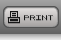 Print View